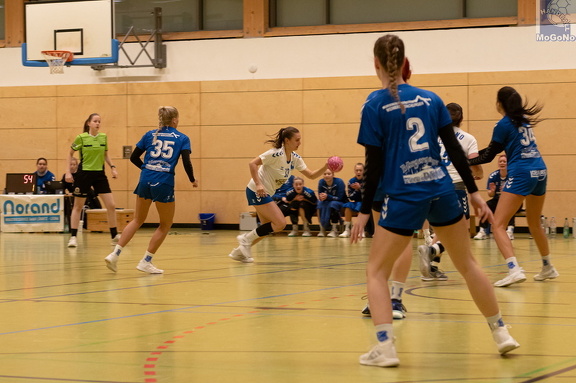 1. Frauen - HSG Neudorf/Döbeln (16.11.2024) HVS-Pokal