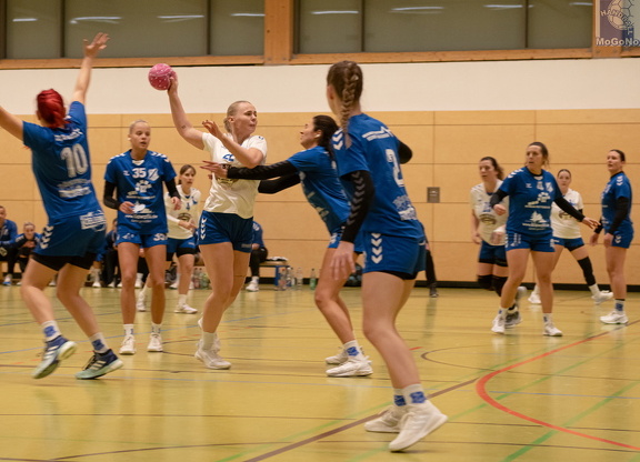 1. Frauen - HSG Neudorf/Döbeln (16.11.2024) HVS-Pokal