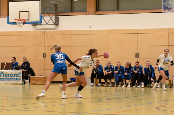 1. Frauen - HSG Neudorf/Döbeln (16.11.2024) HVS-Pokal