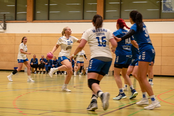 1. Frauen - HSG Neudorf/Döbeln (16.11.2024) HVS-Pokal