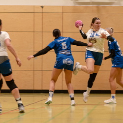 1. Frauen - HSG Neudorf/Döbeln (16.11.2024) HVS-Pokal