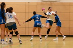 1. Frauen - HSG Neudorf/Döbeln (16.11.2024) HVS-Pokal