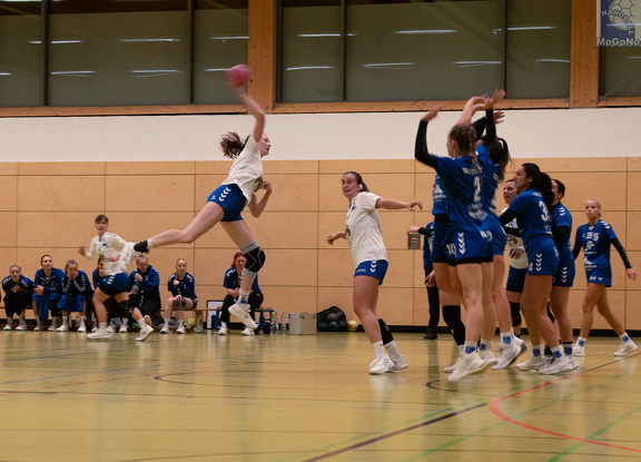 1. Frauen - HSG Neudorf/Döbeln (16.11.2024) HVS-Pokal