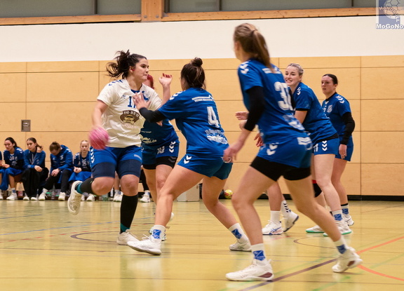 1. Frauen - HSG Neudorf/Döbeln (16.11.2024) HVS-Pokal