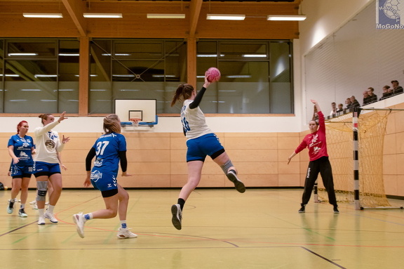 1. Frauen - HSG Neudorf/Döbeln (16.11.2024) HVS-Pokal