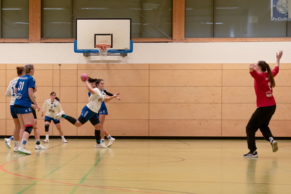 1. Frauen - HSG Neudorf/Döbeln (16.11.2024) HVS-Pokal