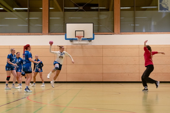 1. Frauen - HSG Neudorf/Döbeln (16.11.2024) HVS-Pokal