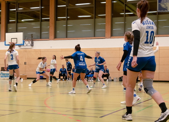 1. Frauen - HSG Neudorf/Döbeln (16.11.2024) HVS-Pokal