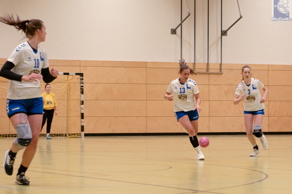 1. Frauen - HSG Neudorf/Döbeln (16.11.2024) HVS-Pokal