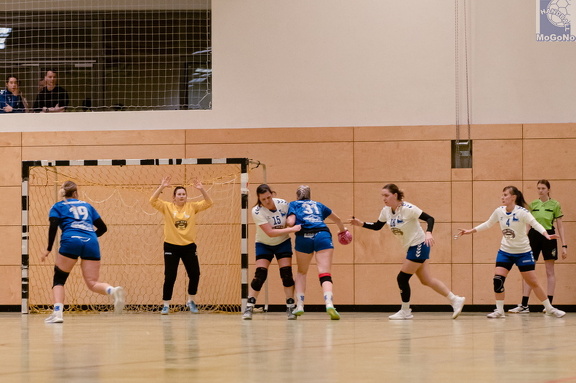 1. Frauen - HSG Neudorf/Döbeln (16.11.2024) HVS-Pokal