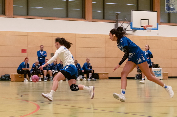 1. Frauen - HSG Neudorf/Döbeln (16.11.2024) HVS-Pokal