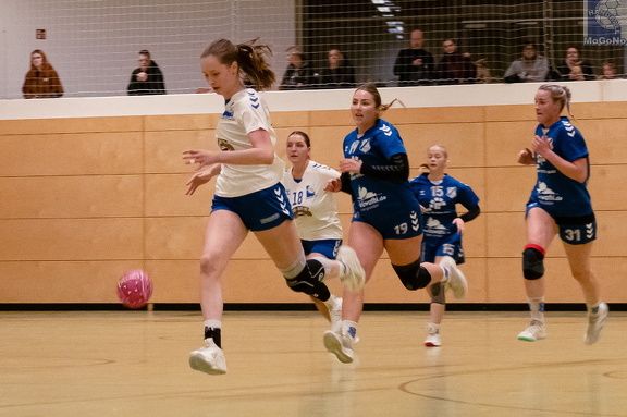 1. Frauen - HSG Neudorf/Döbeln (16.11.2024) HVS-Pokal