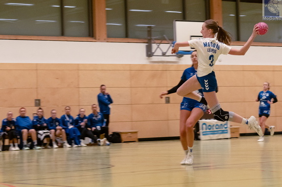 1. Frauen - HSG Neudorf/Döbeln (16.11.2024) HVS-Pokal