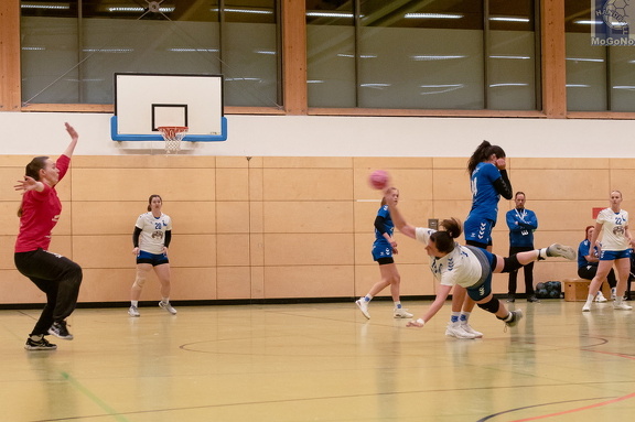 1. Frauen - HSG Neudorf/Döbeln (16.11.2024) HVS-Pokal