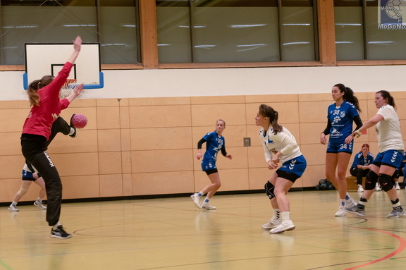 1. Frauen - HSG Neudorf/Döbeln (16.11.2024) HVS-Pokal