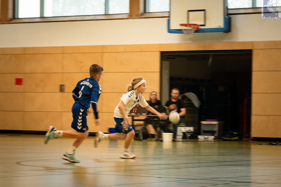  MJD1 - NSG EHV/NH/Buteo (11.1.2025)