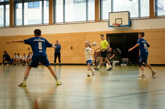  MJD1 - NSG EHV/NH/Buteo (11.1.2025)