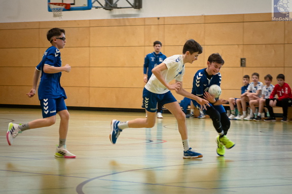  MJD1 - NSG EHV/NH/Buteo (11.1.2025)