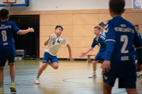  MJD1 - NSG EHV/NH/Buteo (11.1.2025)