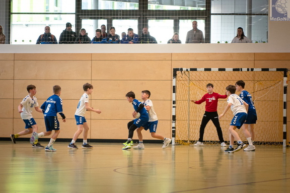  MJD1 - NSG EHV/NH/Buteo (11.1.2025)