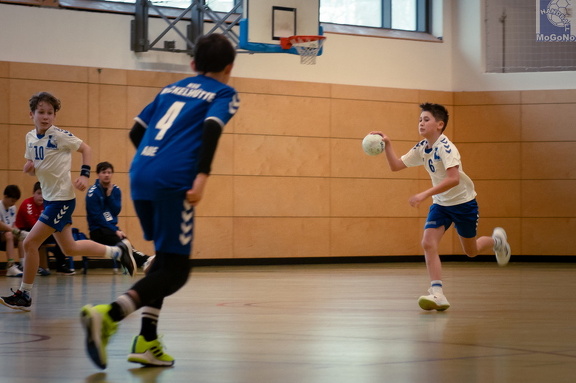  MJD1 - NSG EHV/NH/Buteo (11.1.2025)