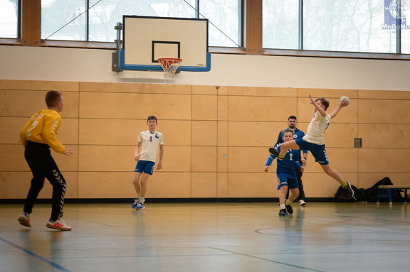  MJD1 - NSG EHV/NH/Buteo (11.1.2025)