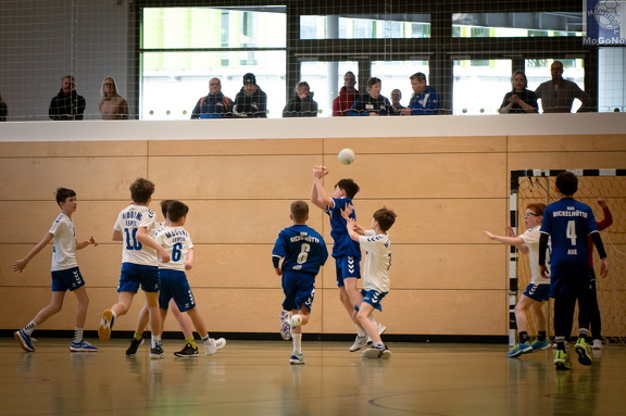  MJD1 - NSG EHV/NH/Buteo (11.1.2025)