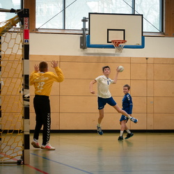 MJD1 -  NSG EHV/NH/Buteo (11.1.2025)