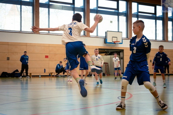  MJD1 - NSG EHV/NH/Buteo (11.1.2025)