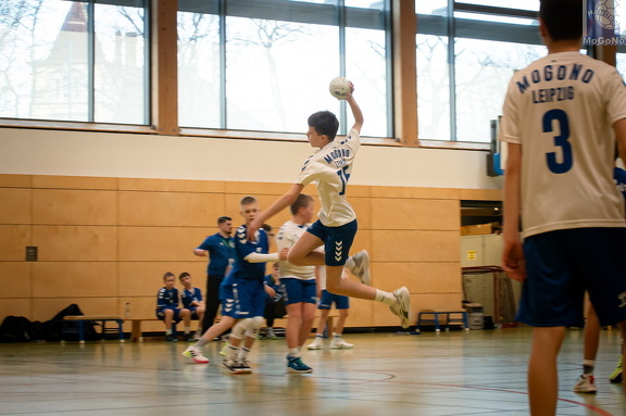  MJD1 - NSG EHV/NH/Buteo (11.1.2025)