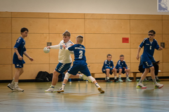  MJD1 - NSG EHV/NH/Buteo (11.1.2025)