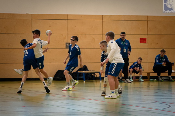  MJD1 - NSG EHV/NH/Buteo (11.1.2025)