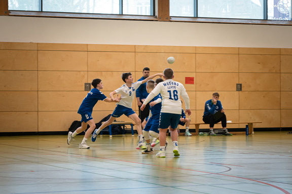  MJD1 - NSG EHV/NH/Buteo (11.1.2025)