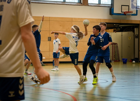  MJD1 - NSG EHV/NH/Buteo (11.1.2025)