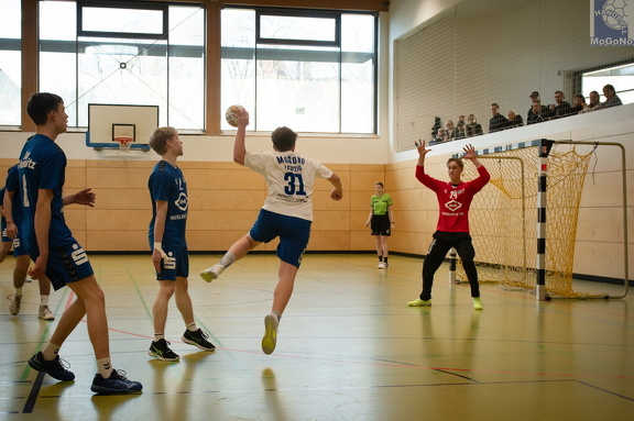 MJA -  NSG EHV/NH/Buteo (11.1.2025)