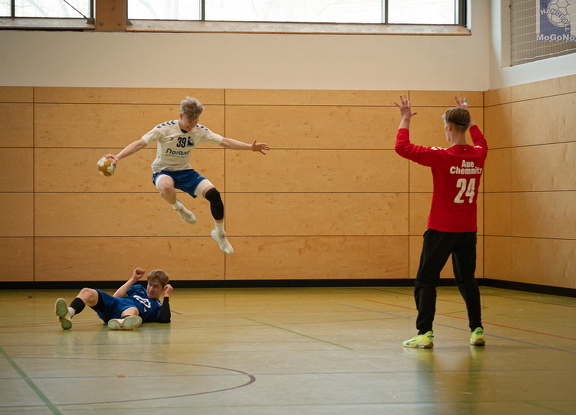 MJA -  NSG EHV/NH/Buteo (11.1.2025)