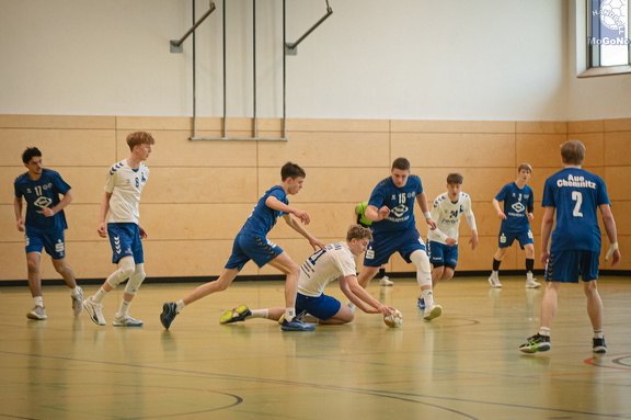 MJA -  NSG EHV/NH/Buteo (11.1.2025)