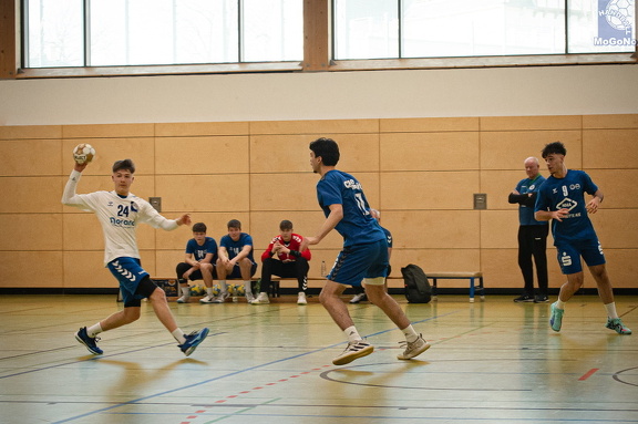 MJA -  NSG EHV/NH/Buteo (11.1.2025)