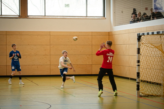 MJA -  NSG EHV/NH/Buteo (11.1.2025)