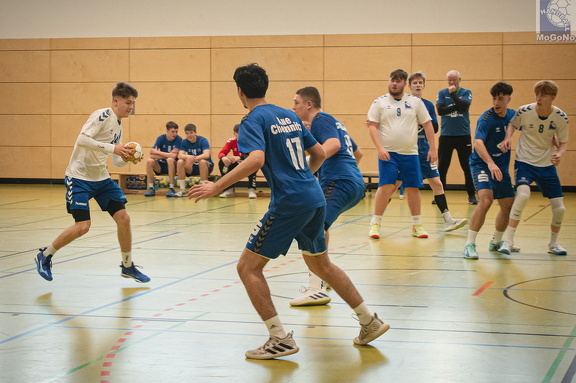 MJA -  NSG EHV/NH/Buteo (11.1.2025)