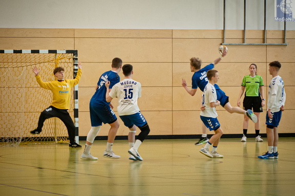 MJA -  NSG EHV/NH/Buteo (11.1.2025)