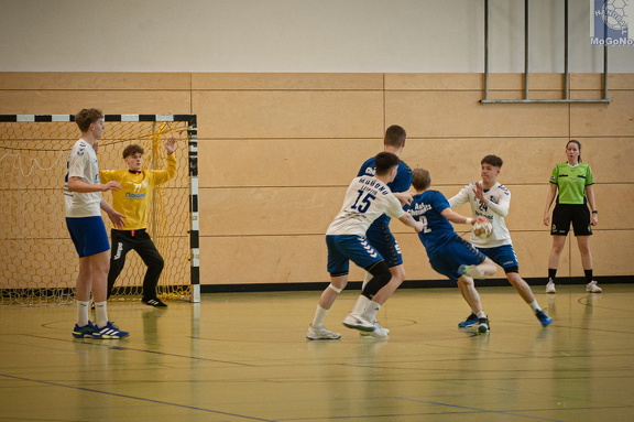 MJA -  NSG EHV/NH/Buteo (11.1.2025)