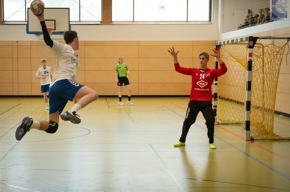 MJA -  NSG EHV/NH/Buteo (11.1.2025)