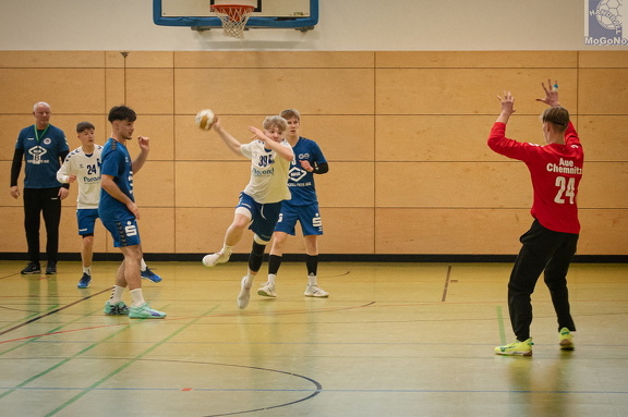 MJA -  NSG EHV/NH/Buteo (11.1.2025)