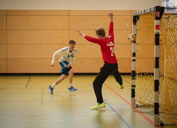 MJA -  NSG EHV/NH/Buteo (11.1.2025)