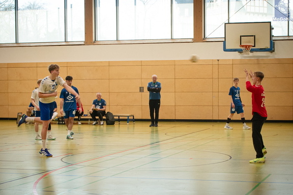 MJA -  NSG EHV/NH/Buteo (11.1.2025)