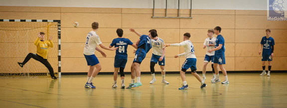 MJA -  NSG EHV/NH/Buteo (11.1.2025)